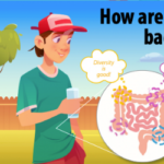 Science Journal for Kids and Teens: How Are Aging and Gut Bacteria Related?