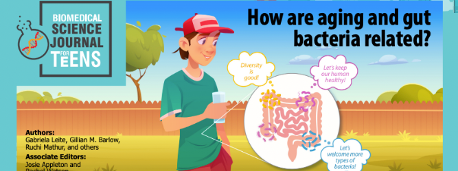 Science Journal for Kids and Teens: How Are Aging and Gut Bacteria Related?